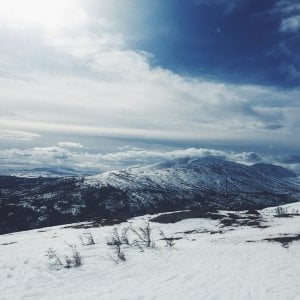 vsco_032816.jpg