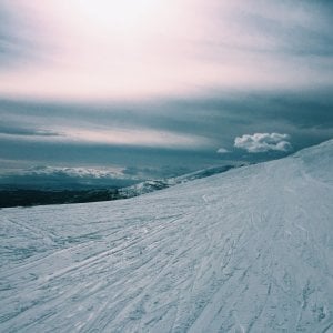 vsco_032816_1744896384225.jpg