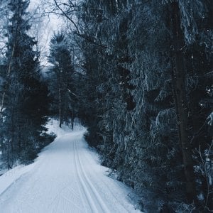 vsco5a9440607ff84.jpg