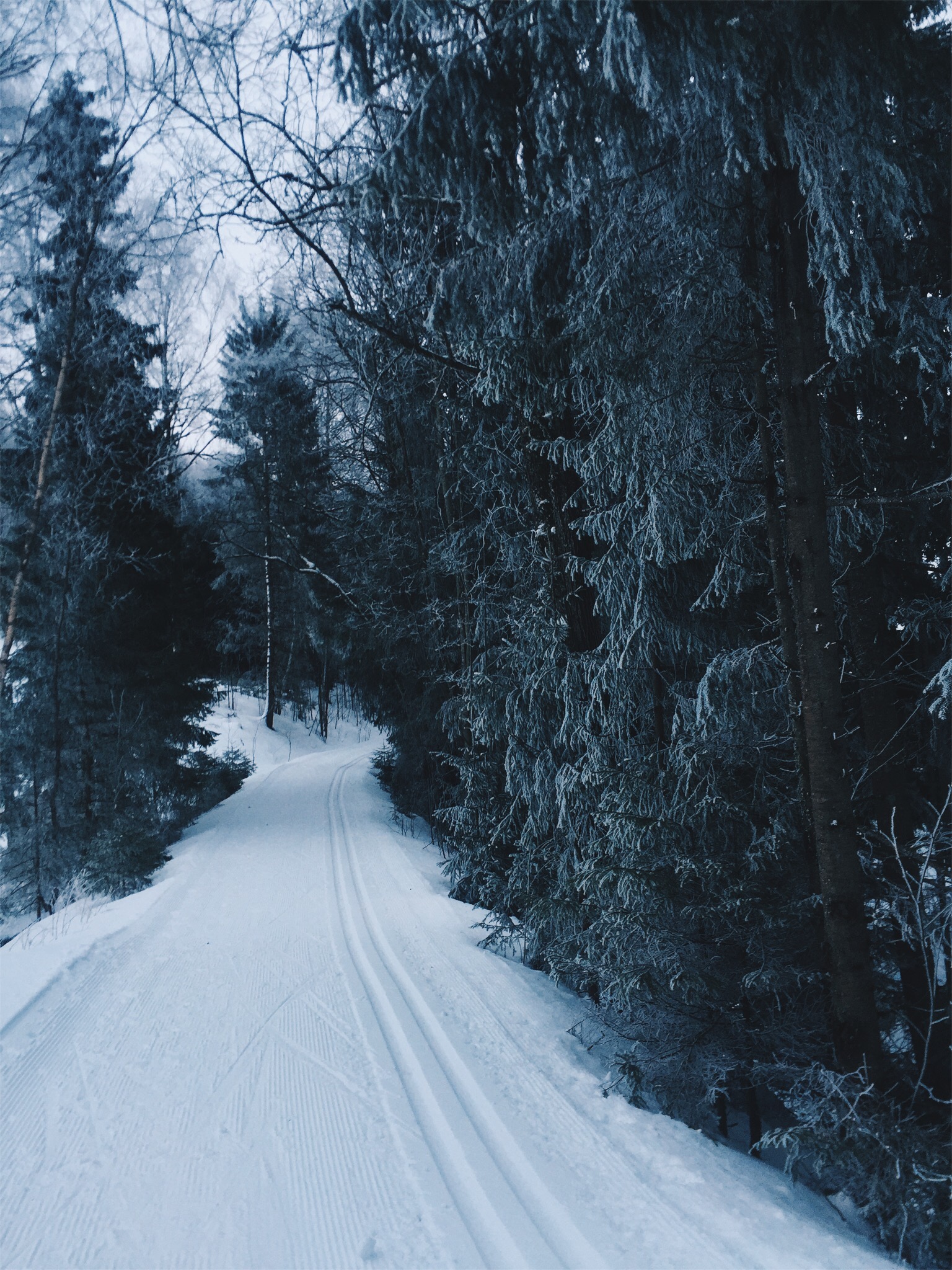 vsco5a9440607ff84.jpg
