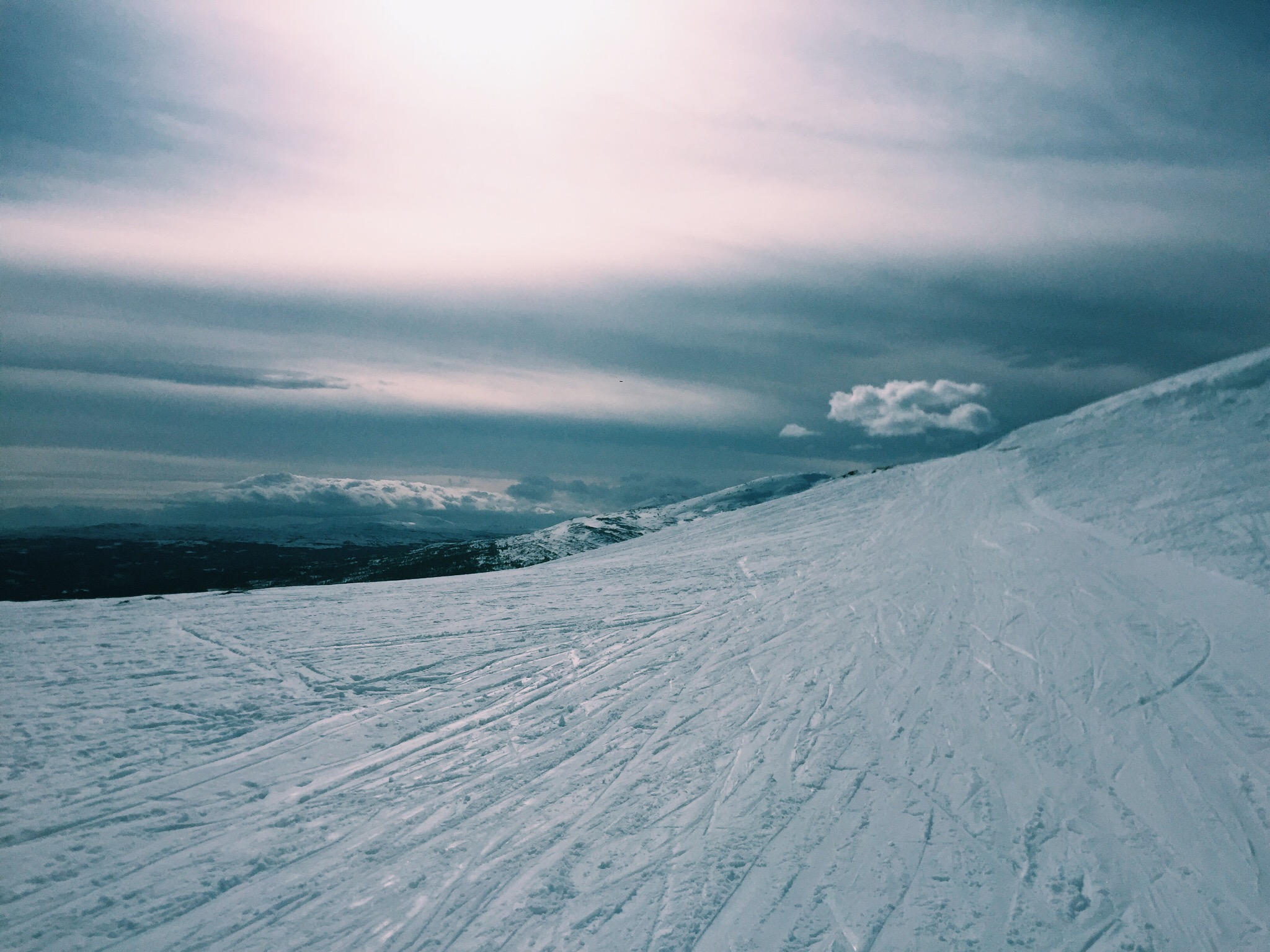 vsco_032816_1744896384225.jpg