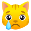 Crying cat :crying_cat_face: 😿